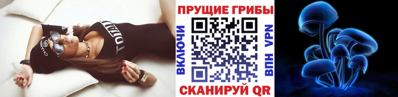 Галлюциногенные грибы Psilocybe Миллерово
